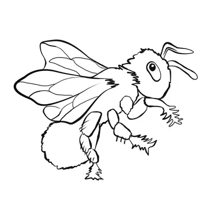 Desenho de contorno de uma abelha voadora com corpo arredondado e peludo, olhos grandes e patas com pequenos espinhos naturais.