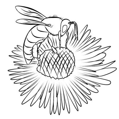 Desenho de contorno de uma abelha realista colhendo pólen no centro de uma flor grande com muitas pétalas finas.