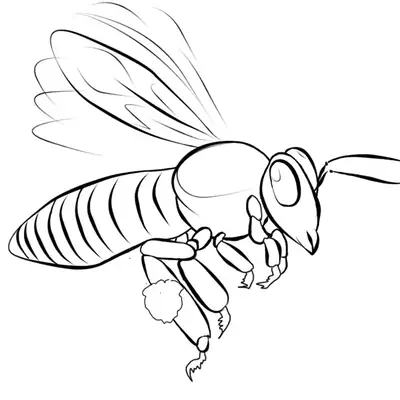Desenho de contorno de uma abelha realista em voo, vista de perfil, com asas estendidas e patas recolhidas, mostrando detalhes do abdômen e tórax.