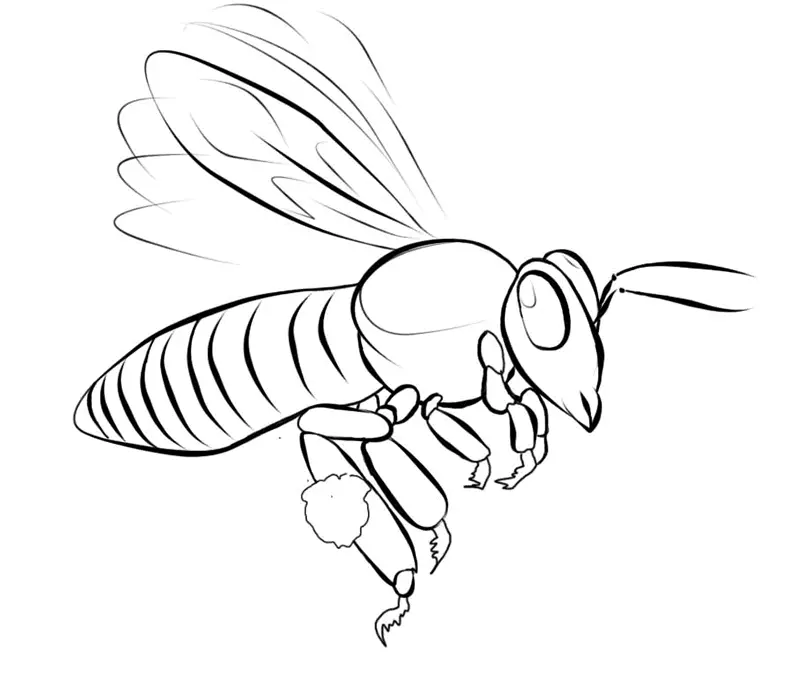 Desenho de contorno de uma abelha realista em voo, vista de perfil, com asas estendidas e patas recolhidas, mostrando detalhes do abdômen e tórax.