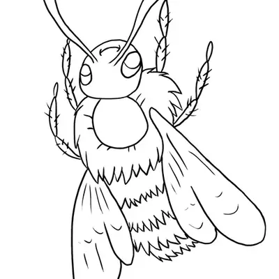Desenho de contorno de uma abelha realista vista de cima, destacando o tórax peludo, pernas com cerdas e asas longas.