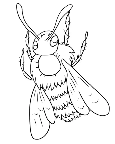 Desenho de contorno de uma abelha realista vista de cima, destacando o tórax peludo, pernas com cerdas e asas longas.