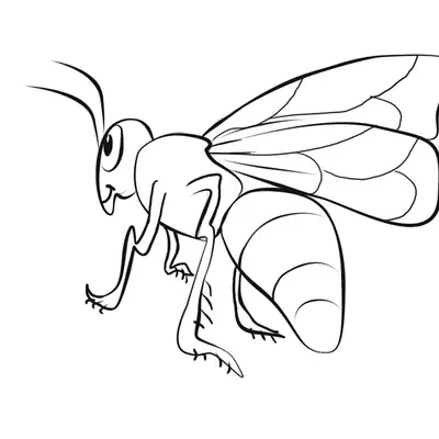 Desenho de contorno preto e branco de uma abelha realista em perfil, com antenas curvas, patas longas e abdômen volumoso.
