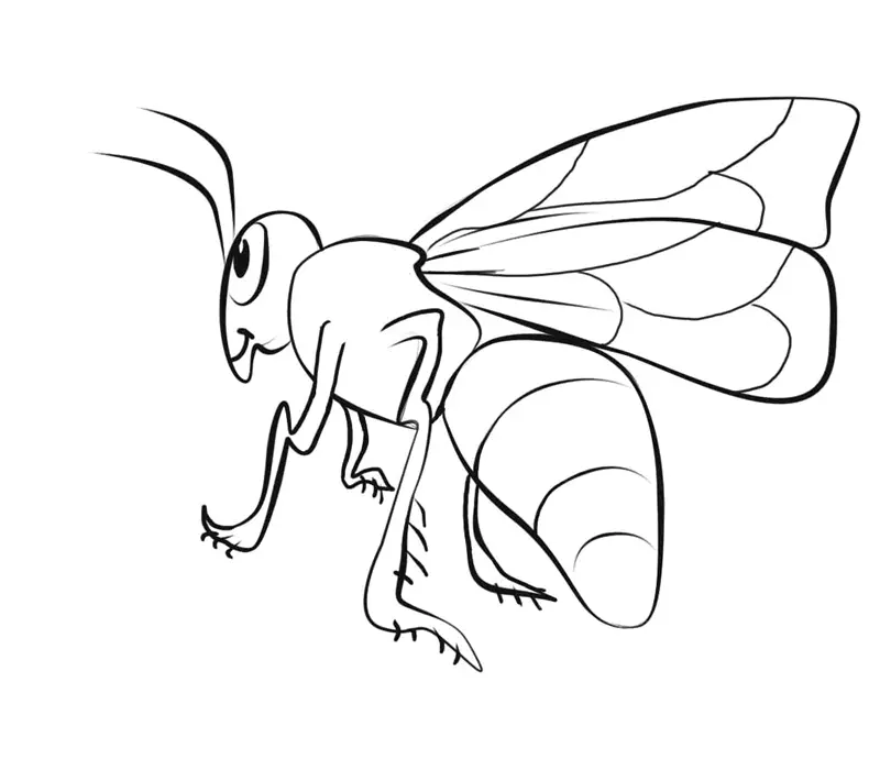 Desenho de contorno preto e branco de uma abelha realista em perfil, com antenas curvas, patas longas e abdômen volumoso.