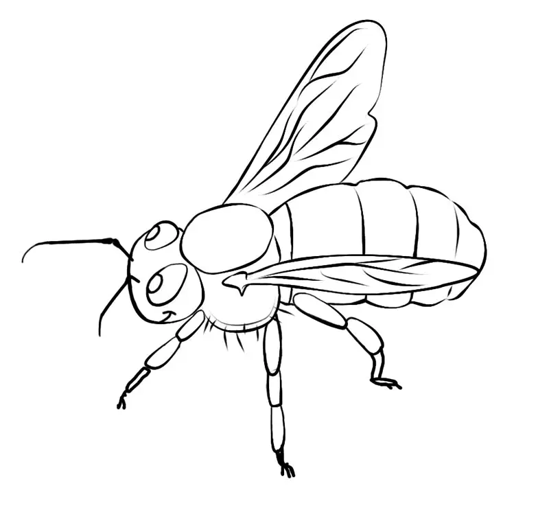 Desenho de contorno de uma abelha realista vista de lado, mostrando antenas, olhos grandes, corpo segmentado e asas finas.