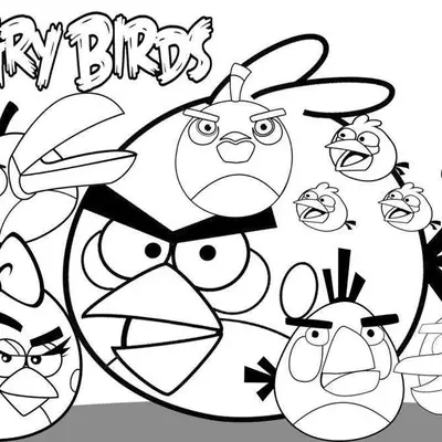 Desenho da Equipe Completa de Angry Birds para Imprimir