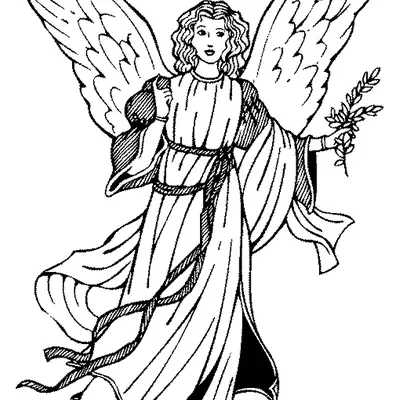 Desenho de contorno em preto e branco, estilo clássicobarroco, de um anjo jovem com cabelo cacheado e grandes asas detalhadas. O anjo veste uma longa túnica esvoaçante e segura um ramo de oliveira (com folhas) na mão direita erguida.