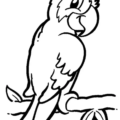 Desenho de contorno em preto e branco de uma arara ou papagaio sorridente, posado em um galho com folhas, em estilo cartoon.