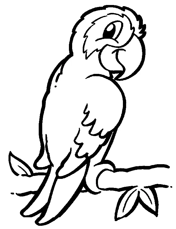 Desenho de contorno em preto e branco de uma arara ou papagaio sorridente, posado em um galho com folhas, em estilo cartoon.