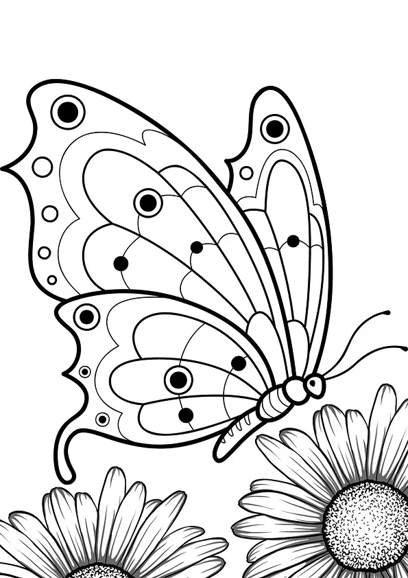 Desenho de contorno de uma borboleta de perfil com padrões de círculos nas asas, aproximando-se de duas flores de jardim detalhadas.