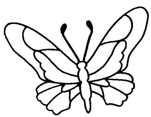 Desenho de contorno de uma borboleta vista de cima, com asas superiores e inferiores bem definidas e corpo alongado.