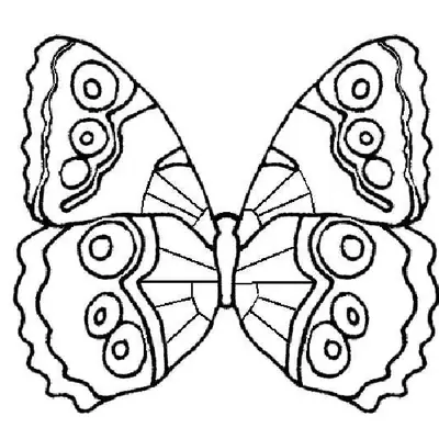 Desenho de contorno de uma borboleta vista de cima, destacando padrões de círculos nas quatro asas e bordas serrilhadas.