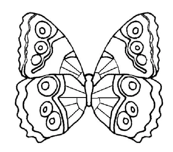 Desenho de contorno de uma borboleta vista de cima, destacando padrões de círculos nas quatro asas e bordas serrilhadas.