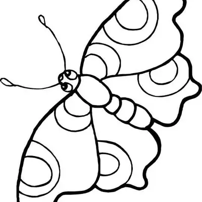 Desenho de contorno de uma borboleta com grandes círculos nas asas e corpo segmentado, pronta para colorir.