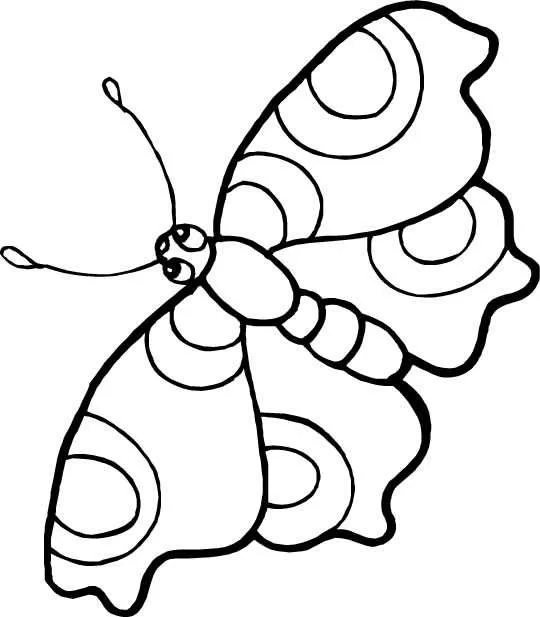 Desenho de contorno de uma borboleta com grandes círculos nas asas e corpo segmentado, pronta para colorir.