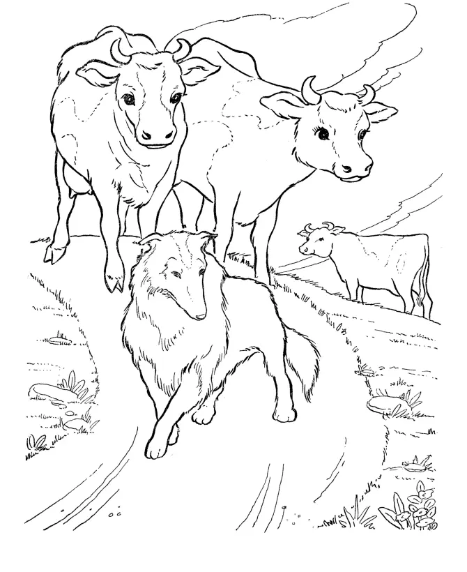 Desenho de contorno realista de um cachorro de pelagem longa, como um Border Collie, à frente de três vacas em um caminho de terra.