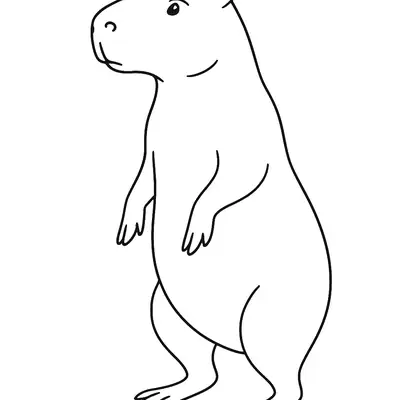 Postura Curiosa: Desenho de Capivara em Pé para Colorir