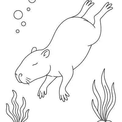 Aventura Subaquática: Desenho de Capivara Nadando para Colorir