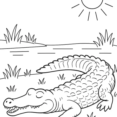 Desenho para colorir de um crocodilo ou jacaré deitado em terra firme (grama) com os olhos fechados, relaxando sob um sol simples no canto superior. Ao fundo, há água e tufos de grama.