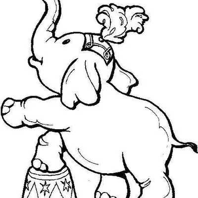Show de Equilíbrio: O Elefante Artista para Colorir