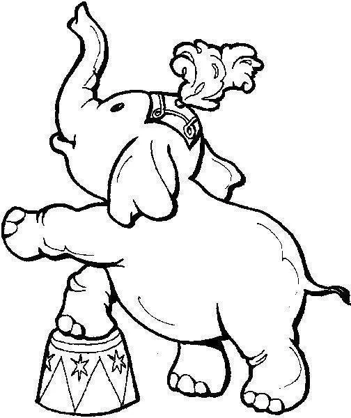 Desenho de contorno de um elefante apoiado em uma pata sobre um banquinho de circo, usando um adereço de cabeça com penas.