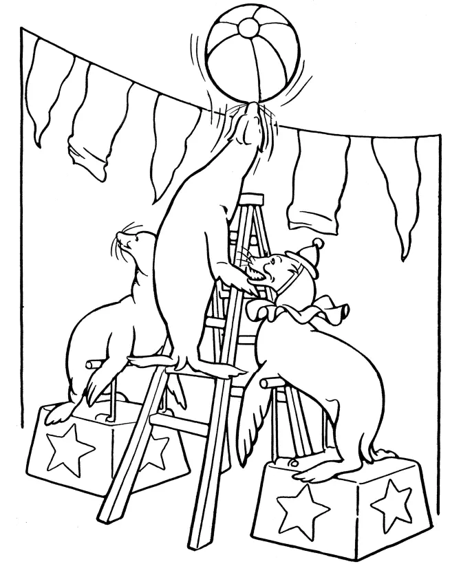 Desenho de contorno de três focas no circo: uma no topo de uma escada equilibrando uma bola no nariz e outras duas em pedestais com estrelas.