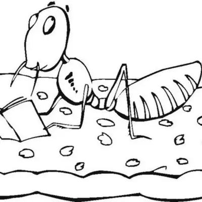 Desenho de contorno em preto e branco de uma formiga sentada sobre um biscoito com gotas de chocolate, segurando um livro aberto com as patas dianteiras.