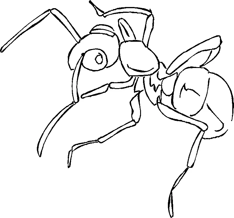 Desenho de contorno em preto e branco de uma formiga vista em um ângulo inclinado, mostrando detalhes da cabeça, tórax e abdômen segmentado.