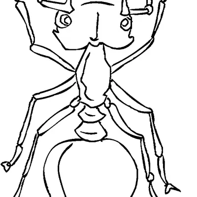 Desenho de Formiga em Perspectiva Frontal para Colorir
