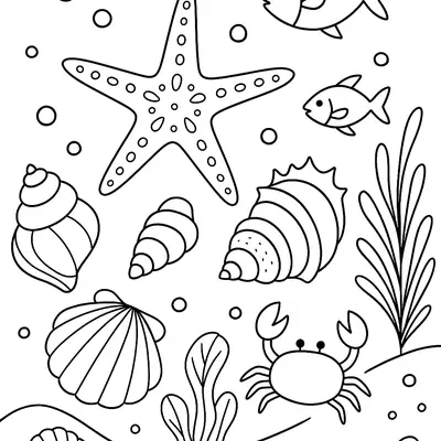 Desenho de contorno do fundo do mar apresentando uma grande estrela do mar central, um caranguejo, dois peixes, várias conchas de diferentes formatos e algas.