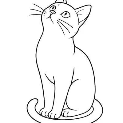 Desenho de contorno de um gatinho sentado de lado, com a cabeça inclinada para cima, olhos grandes e expressivos, e uma cauda longa enrolada na base.