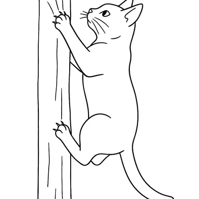 Aventura nas Alturas: Gato Escalador para Colorir