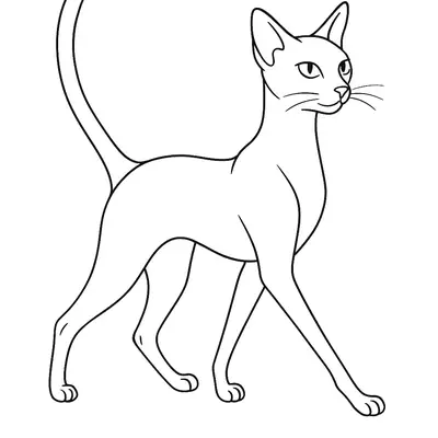Elegância em Movimento: Gato Oriental para Colorir