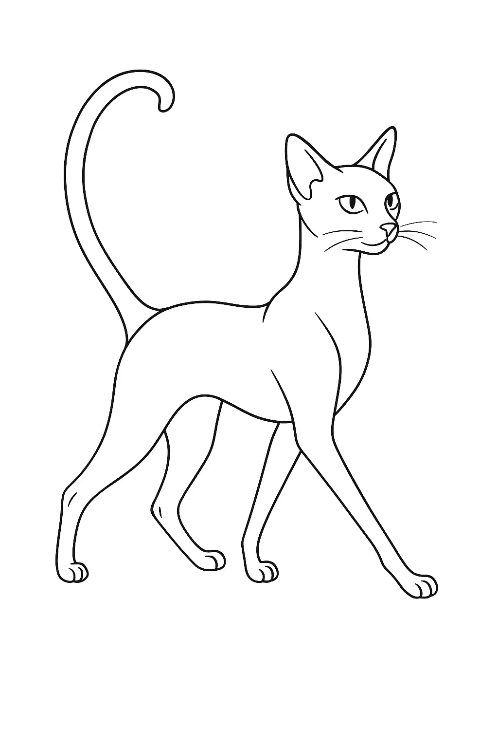 Desenho de contorno de um gato de raça oriental ou siamês, com corpo magro e musculoso, orelhas pontiagudas grandes e rabo fino e longo.