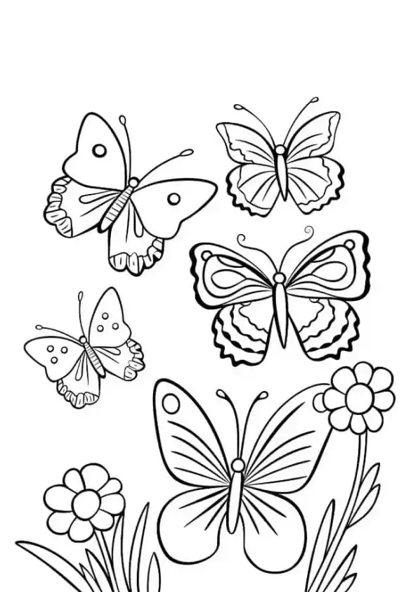 Desenho de contorno com cinco borboletas diferentes voando sobre duas flores grandes no canto inferior esquerdo.