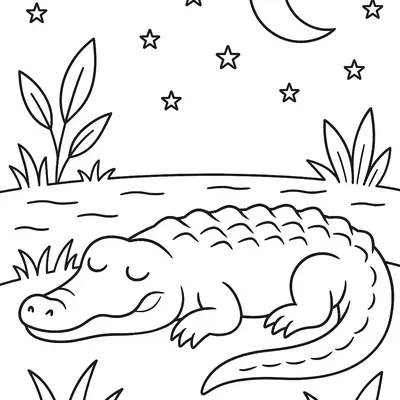 Desenho de Jacaré (Crocodilo) Dormindo Tranquilamente na Noite