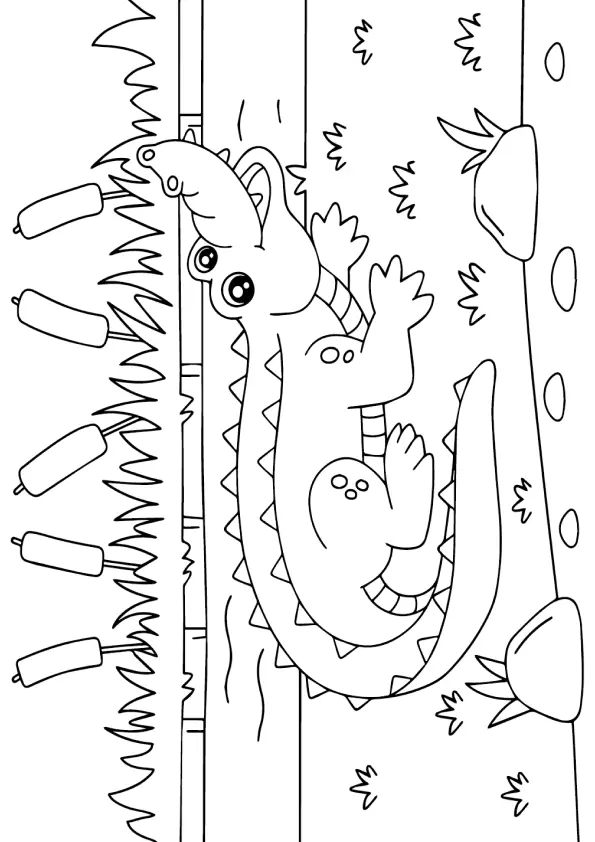 Desenho de contorno de um jacaré bebê em estilo cartoon, deitado confortavelmente em um tronco ou grama. O réptil tem grandes olhos e uma expressão alegre, cercado por vegetação densa, grama selvagem e plantas de taboa com suas cabeças cilíndricas.