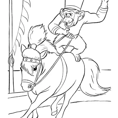 Desenho de contorno de um macaco usando chapéu de soldado e casaco, montado em um cavalo de circo galopando no picadeiro.
