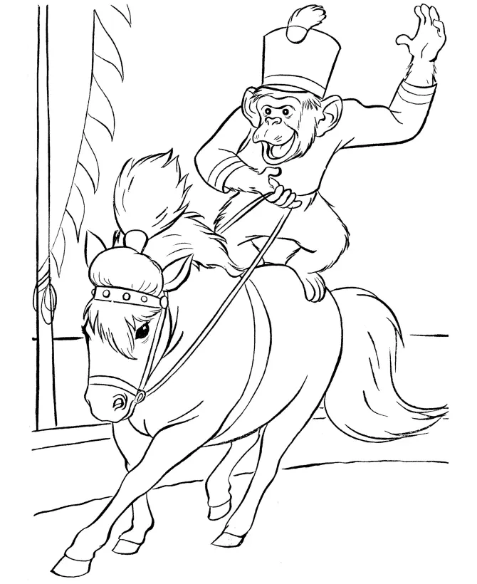 Desenho de contorno de um macaco usando chapéu de soldado e casaco, montado em um cavalo de circo galopando no picadeiro.