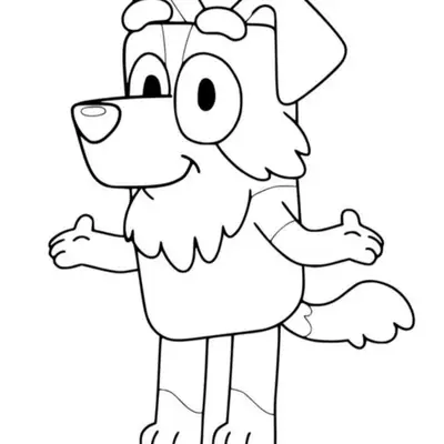 Mackenzie: O Border Collie da Bluey para Colorir