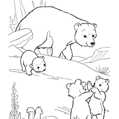 Desenho de contorno de uma mamãe urso grande protegendo três ursinhos filhotes que brincam entre pedras, com um esquilo no canto inferior.