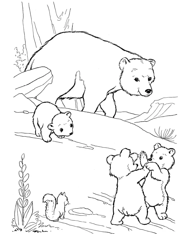 Desenho de contorno de uma mamãe urso grande protegendo três ursinhos filhotes que brincam entre pedras, com um esquilo no canto inferior.