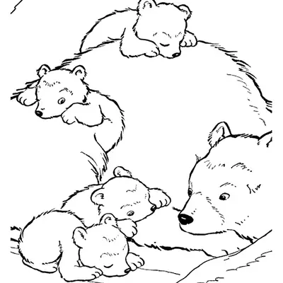 Desenho de contorno de uma mamãe urso deitada com quatro ursinhos filhotes dormindo sobre ela e ao seu lado em um ninho na natureza.