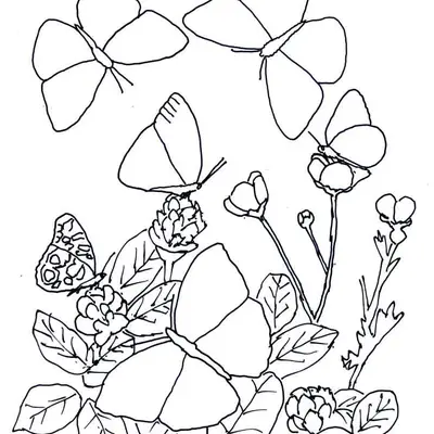 Desenho de contorno artístico com várias borboletas de asas abertas e fechadas entre ramos de flores e folhas detalhadas.
