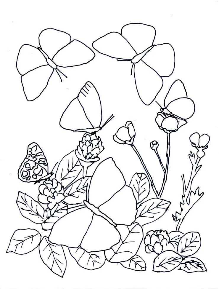 Desenho de contorno artístico com várias borboletas de asas abertas e fechadas entre ramos de flores e folhas detalhadas.
