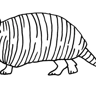 Desenho de contorno em preto e branco de um tatu de perfil, com corpo alongado coberto por várias linhas verticais e cauda anelada.