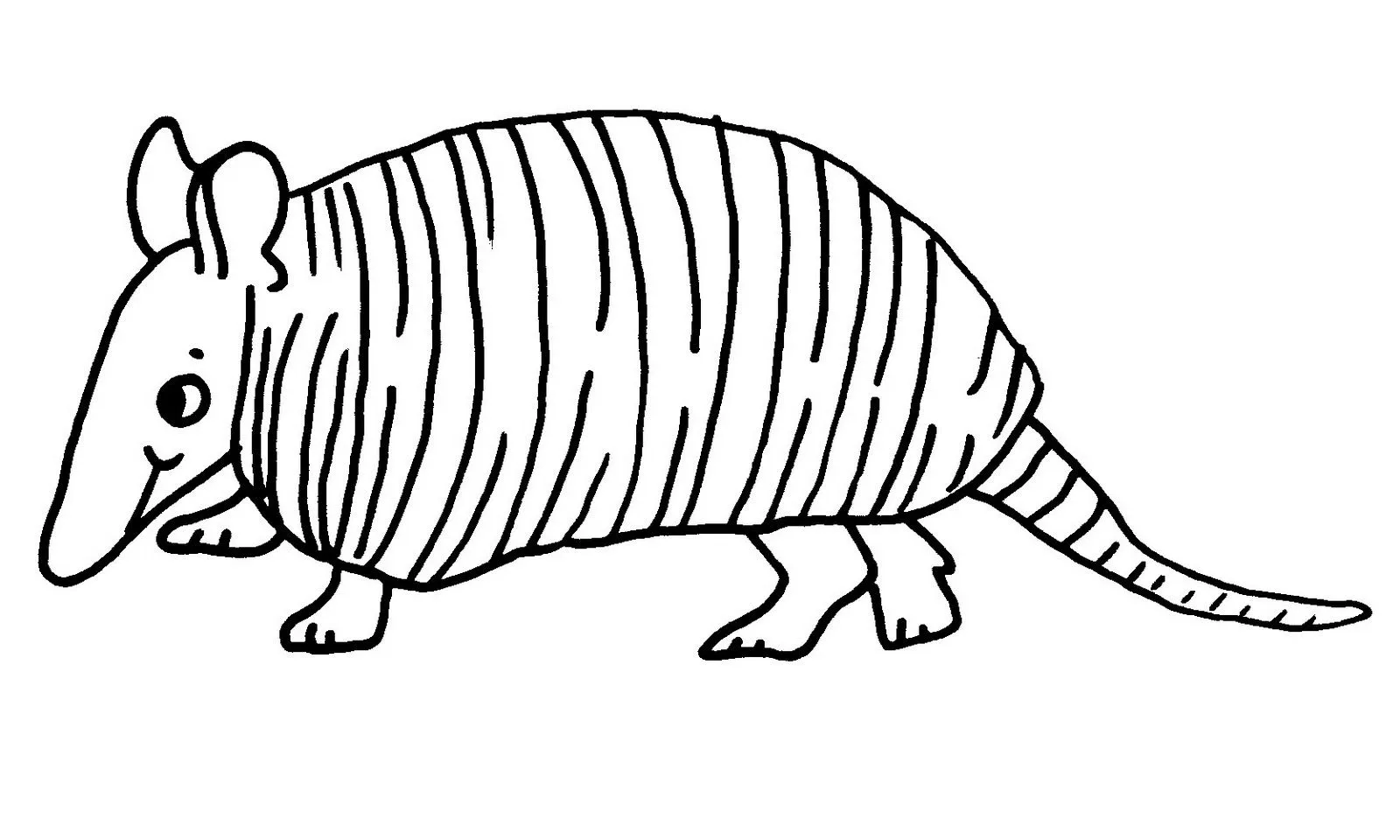 Desenho de contorno em preto e branco de um tatu de perfil, com corpo alongado coberto por várias linhas verticais e cauda anelada.