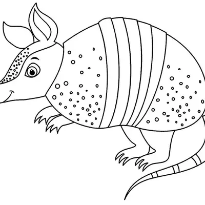 Desenho de contorno em preto e branco de um tatu de perfil, com orelhas grandes, focinho fino e carapaça decorada com pequenos círculos e faixas verticais.