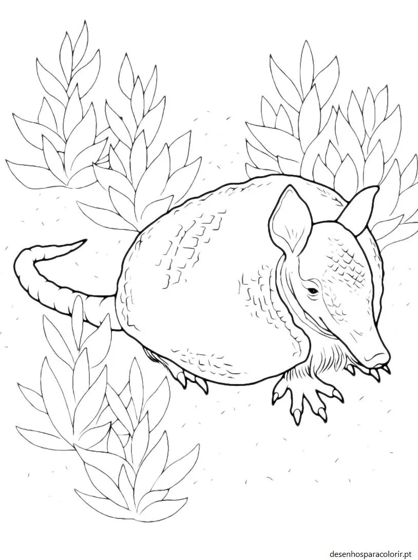 Desenho de contorno em preto e branco de um tatu caminhando para a direita, cercado por plantas de folhas longas e solo pontilhado.