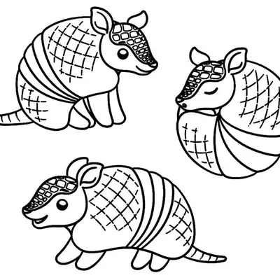 Desenho de contorno em preto e branco de três tatus estilo cartoon; um está em pé, um caminha e o terceiro está enrolado em formato de bola.